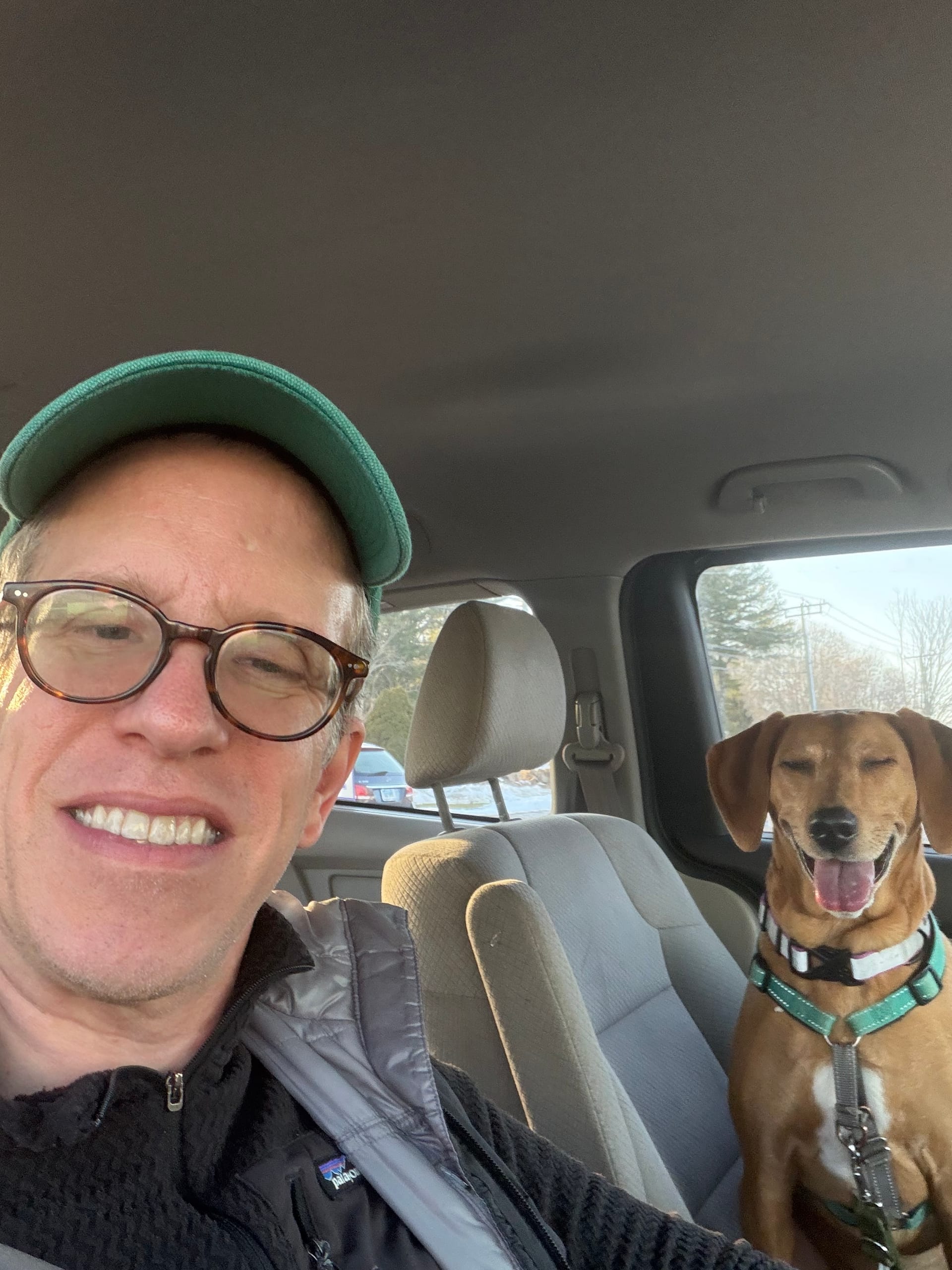 a man and his pet hound sit in a minivan en route to the beach