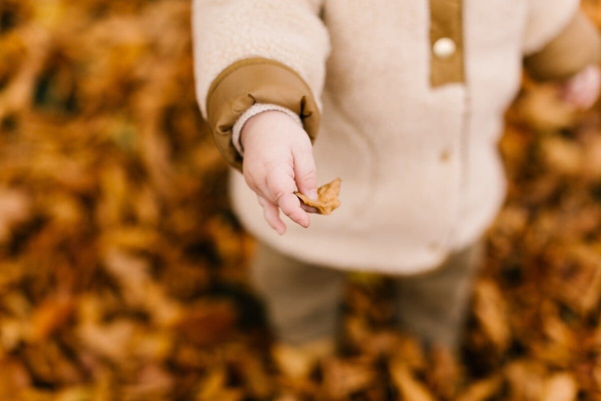 Child holding a leaf in the autumn