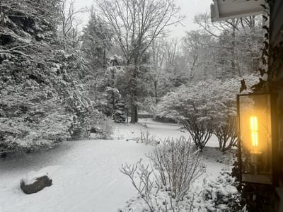 A snowy day with an incandescent outdoor light still on.