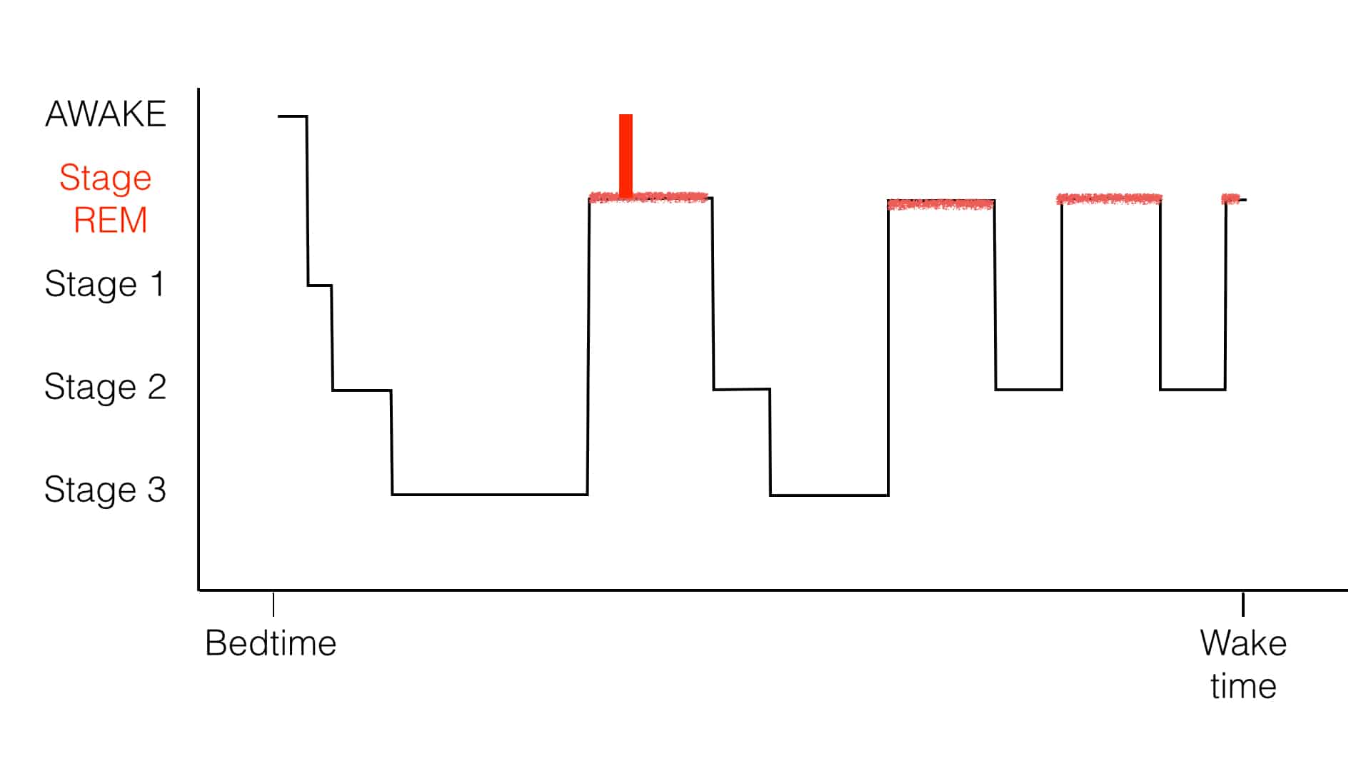 A normal night of sleep. The vertical red line is a single brief awakening. 