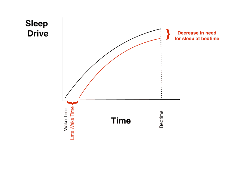Sleeping in reduces sleepiness at bedtime.
