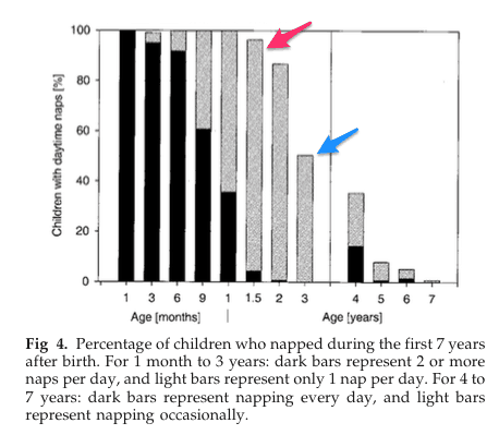 This shows the frequency and of napping in the first seven years. Most kids have transitioned from multiple to one nap by 18 months (pink arrow) and half have given up napping by age three (blue arrow). Iglowstein, I., Jenni, O. G., Molinari, L., & Largo, R. H. (2003). Sleep duration from infancy to adolescence: reference values and generational trends. Pediatrics, 111(2), 302–307.