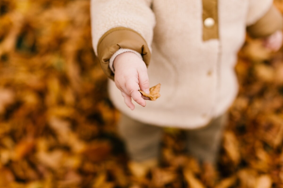 Avoiding Sleep Problems with Falling Back: Your Child and the End of DST
